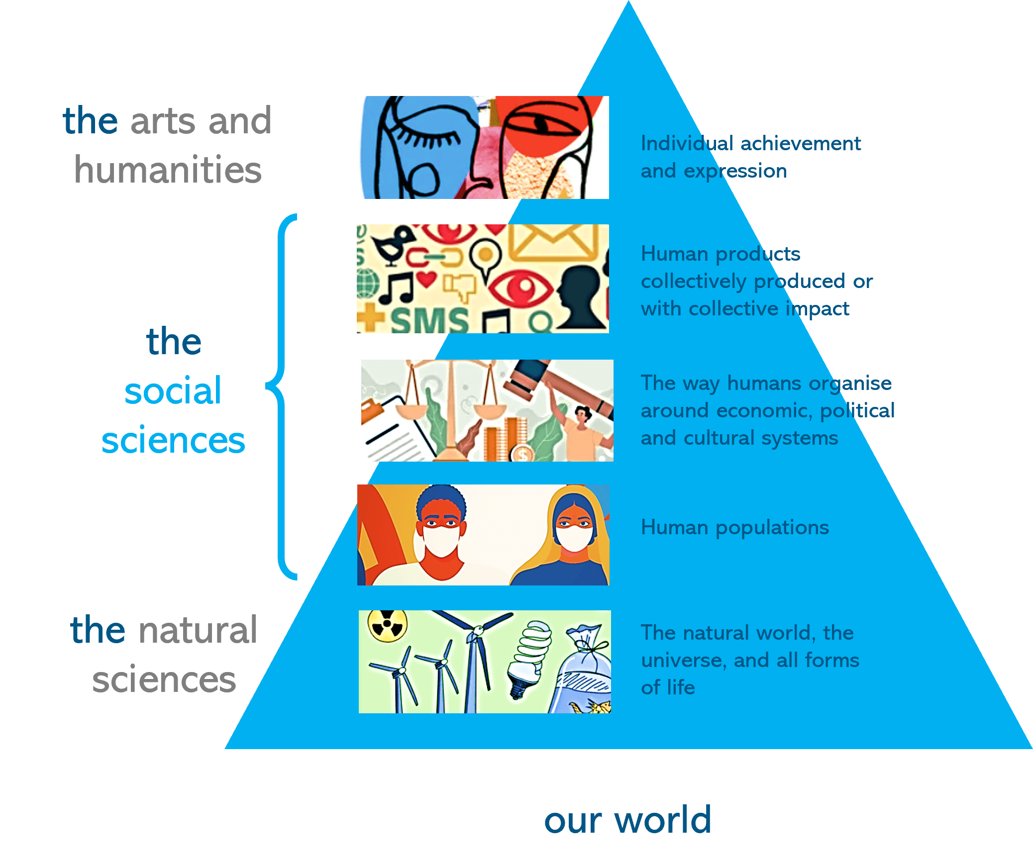 social-science-what-it-is-and-the-major-branches-44-off